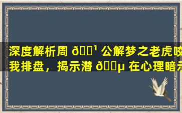 深度解析周 🌹 公解梦之老虎咬我排盘，揭示潜 🐵 在心理暗示！